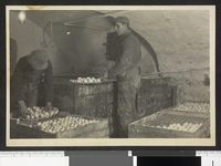 299. Trøndelag eggcentral - no-nb digifoto 20140612 00021 blds 06715.jpg