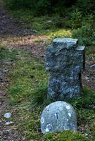 Grav #1 i Trandumskogen. Foto: Tommy Gildseth