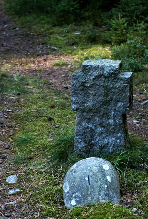 Trandumskogen grav nr1.jpg