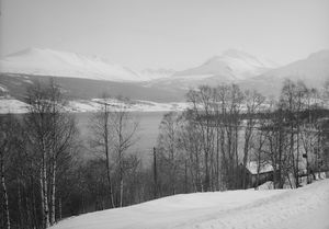 Tresfjord - no-nb digifoto 20150205 00151 NB MIT FNR 15790 A.jpg