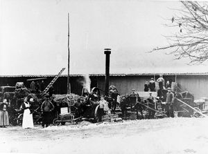 Tresking på Riis.jpg