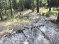 Bolt etter trigonometrisk punkt - gammelt fundament lenger bak.