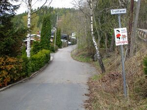 Trollfaret Oslo 2015.jpg