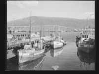 28. Tromsø - no-nb digifoto 20150120 00059 NB MIT FNR 20052.jpg