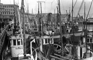 Tromsø havn.Fiskeflåten på veg til Lofotfiske.Varnes 01.jpg