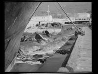 11. Tromsøsund, hvalstasjon - no-nb digifoto 20150120 00084 NB MIT FNR 20069.jpg