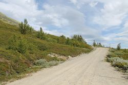 Veien opp til toppen av Tron - dette er den nest høyeste veien i Norge. Foto: Chris Nyborg (2014).