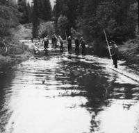 Foto: Olav J. Haugeland (1960).