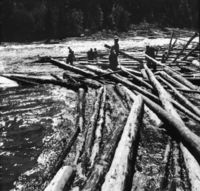 Foto: Olav J. Haugeland (1960).