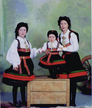 Trydal 86.jpg