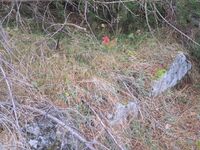 Grunnmuren på våningshuset.