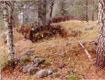 Tufter etter Nordre Svartskruden (oeb-201894).jpg