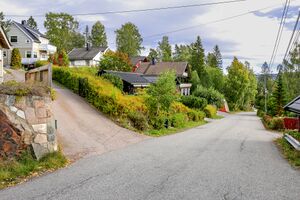 Tumyrveien 220917.jpg