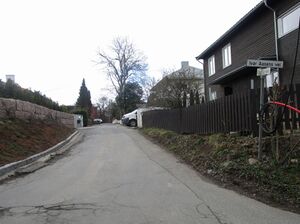 Tunfaret Oslo 2015.jpg