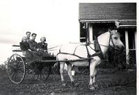 Fra venstre: Turid Veiby, Stener Røstø, Henry Røstø og Torill Paulsen med hest foran Engeli.jpg. Foto: Ukjent, omkring 1954