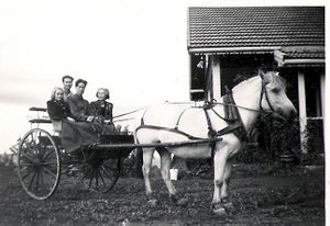 Turid-Veiby Stener-Rosto Henry-Rosto Torill-Paulsen forran-Engeli.jpg