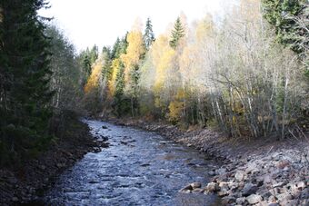 Tverrelva Sørkedalen.JPG
