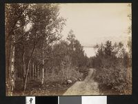 161. Ukjent nummer Nordland, Parti fra Tromsøen - no-nb digifoto 20160108 00258 bldsa AL1149.jpg