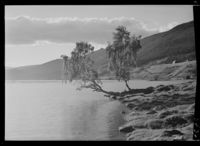 175. Ukjent sted - no-nb digifoto 20151020 00217 NB MIT FNR 03434 B.jpg