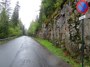 Ullveien Oslo 2015.jpg