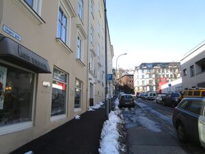 Ungers gate Oslo 2015.jpg