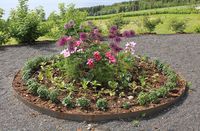 Urtespiral med prydvekster på Hovelsrud gård, Helgøya.JPG