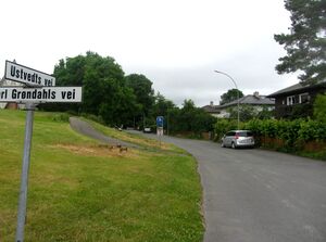 Ustvedts vei Oslo 2014.jpg