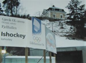 Utenfor Gjøvik fjellhall 31 des 1992.jpg
