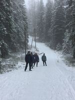 Aktive Kvinner i Bjerke på tur i Lillomarka på vinterstid. Det er flere blide personer på bildet.