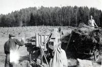 Utetresking på Braanaas som førstemann i bygda 1. september 1939, på det senere Selmerjordet ved E6.