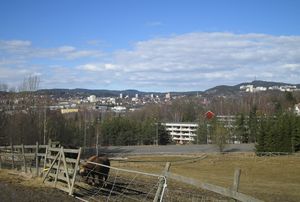 Utsikt fra Nordre Lindeberg gård 2005.jpg