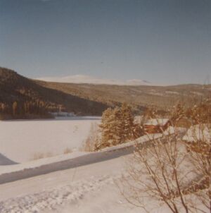 Uvdal i Numedal 1972.JPG