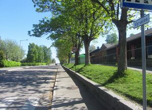 Vårveien Oslo 2014.jpg