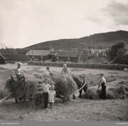 Vaggestein øvre.jpg