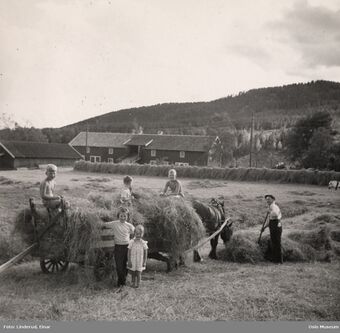 Vaggestein øvre.jpg