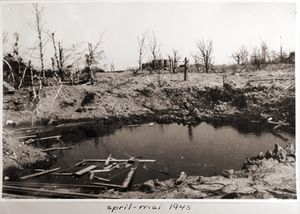 Vallø bilde15 april mai 1945.jpg