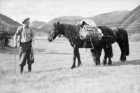 Karl Sverdrup Lund med kløvhest, truleg på Lund i 1948.