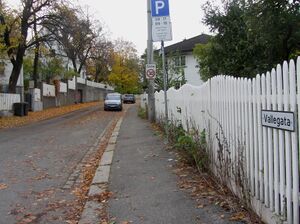 Vallegata Oslo 2013.jpg