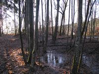 52. Vannrennefundament.jpg