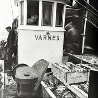 Her er «Varnes» på veg inn frå linetur, fulle kasser.