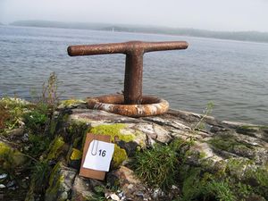 Varpebolt m ring, Langøya..jpg