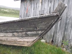 Innfesting ved stamn