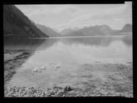 36. Veblungsnes - no-nb digifoto 20150219 00147 NB MIT FNR 16485.jpg