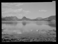 54. Veblungsnes - no-nb digifoto 20150219 00200 NB MIT FNR 16532.jpg