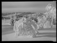 4. Ved Austlid Fjellstue - no-nb digifoto 20150205 00044 NB MIT FNR 15700.jpg