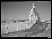 25. Ved Austlid Fjellstue - no-nb digifoto 20150205 00079 NB MIT FNR 15706 A.jpg