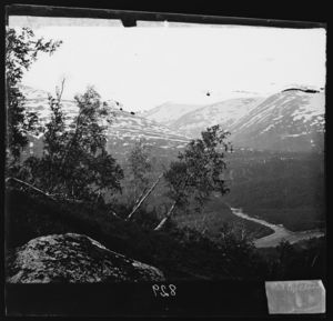 Ved Bjeldaanes - NB bldsa OTO0829 A.jpg