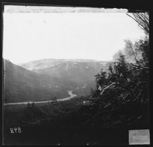 Ved Bjeldaanes - NB bldsa OTO0848 A.jpg