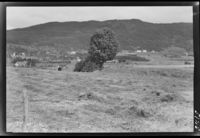 176. Ved Bodø omegn - no-nb digifoto 20151009 00096 NB MIT FNR 05125.jpg