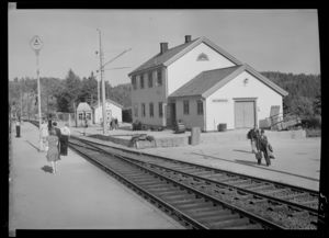 Vegårshei, Sørlandsbanen - no-nb digifoto 20151012 00133 NB MIT FNR 05291.jpg